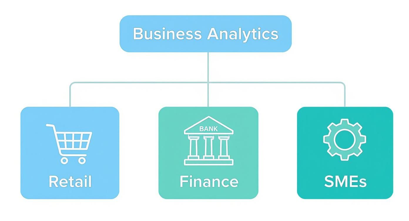 Infographic decision tree showing how business analytics is used in Retail (customer experience), Finance (risk management), and SMEs (operational efficiency).