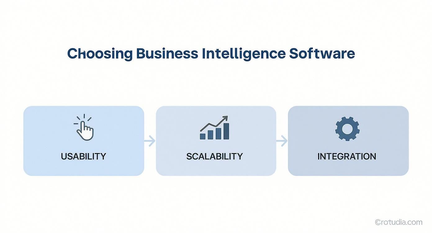 Infographic about software business intelligence